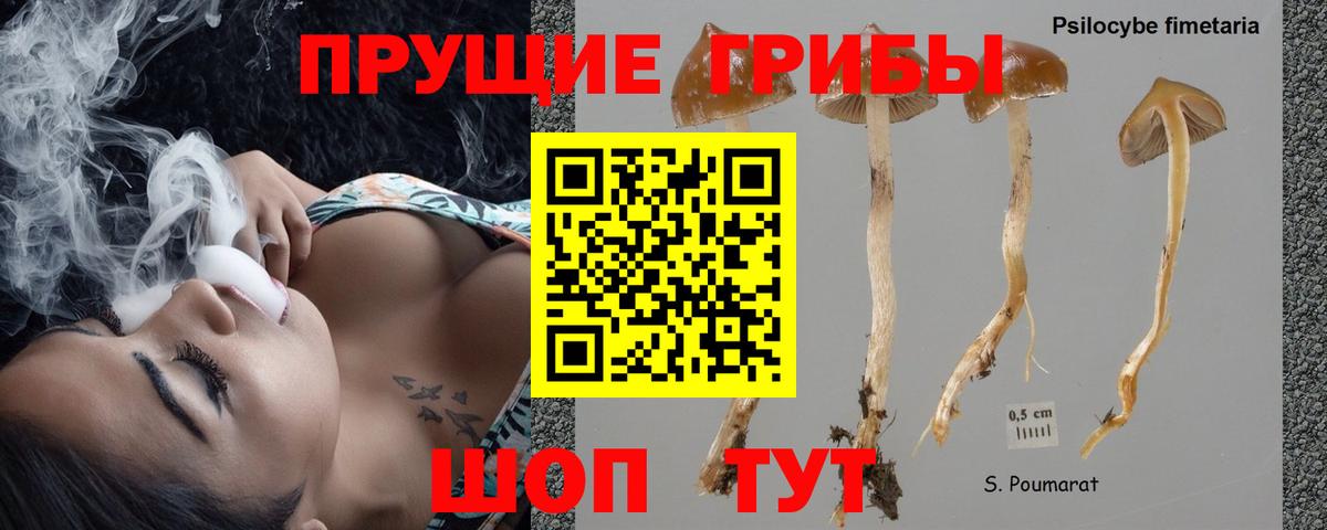 Донецк  Псилоцибиновые грибы мицелий  Вход с VPN  Галлюциногенные грибы Magic Shrooms 